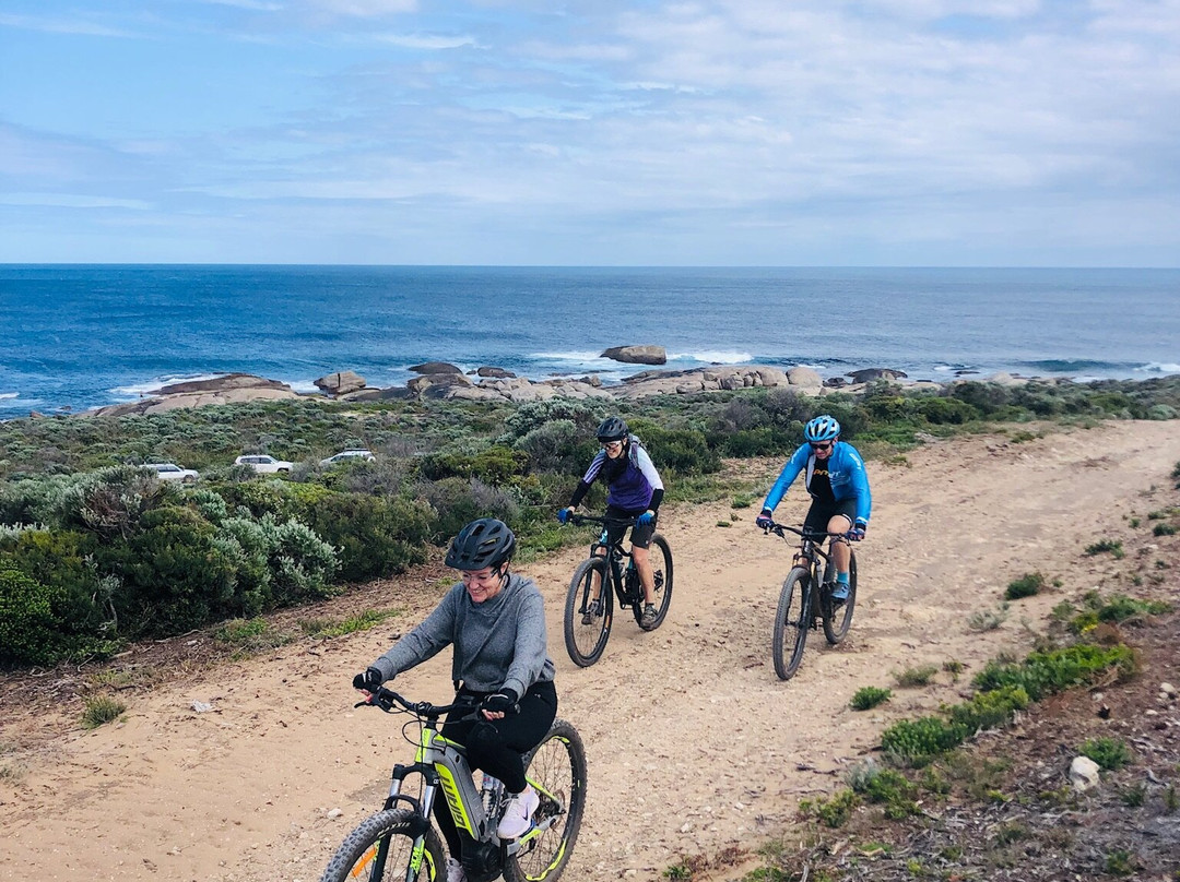 Margaret River Mountain Bike Tours景点图片