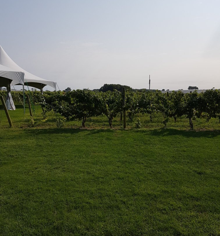 Mastronardi Estate Winery-Kingsville必去景点