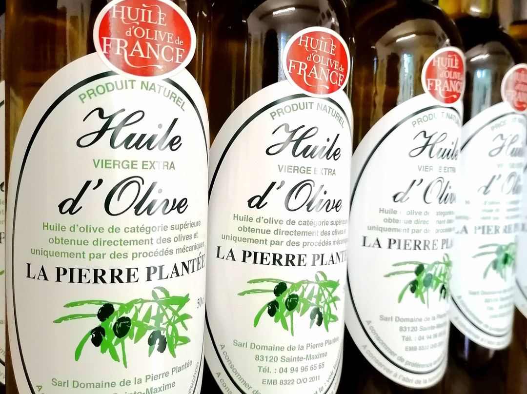 Domaine de La Pierre Plantée景点图片