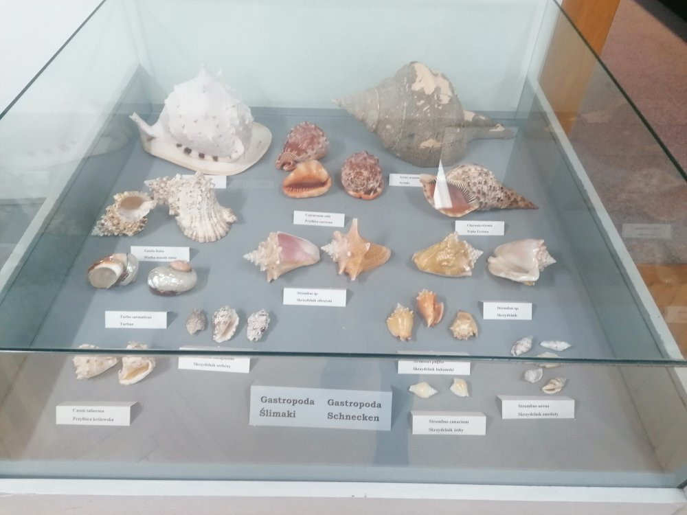 Museum of Sea Fishery Swinoujscie景点图片