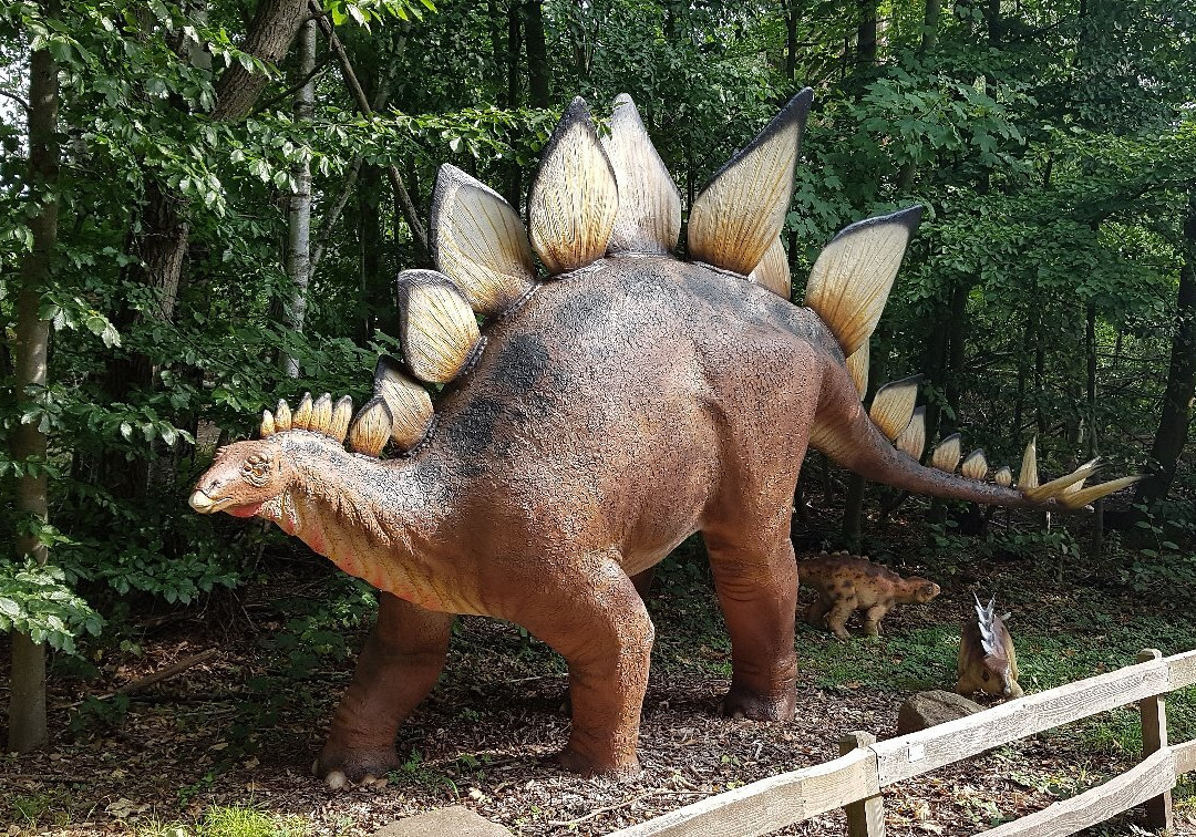 Dinopark Münchehagen景点图片