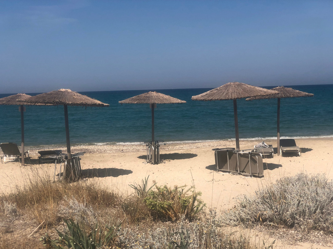 Ammoudia Maisonettes主图