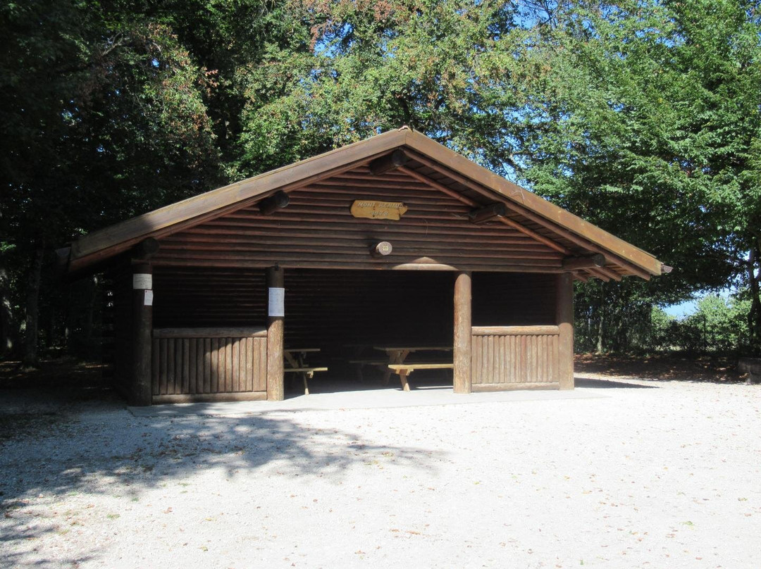 Tour Panoramique Mont Renaud景点图片