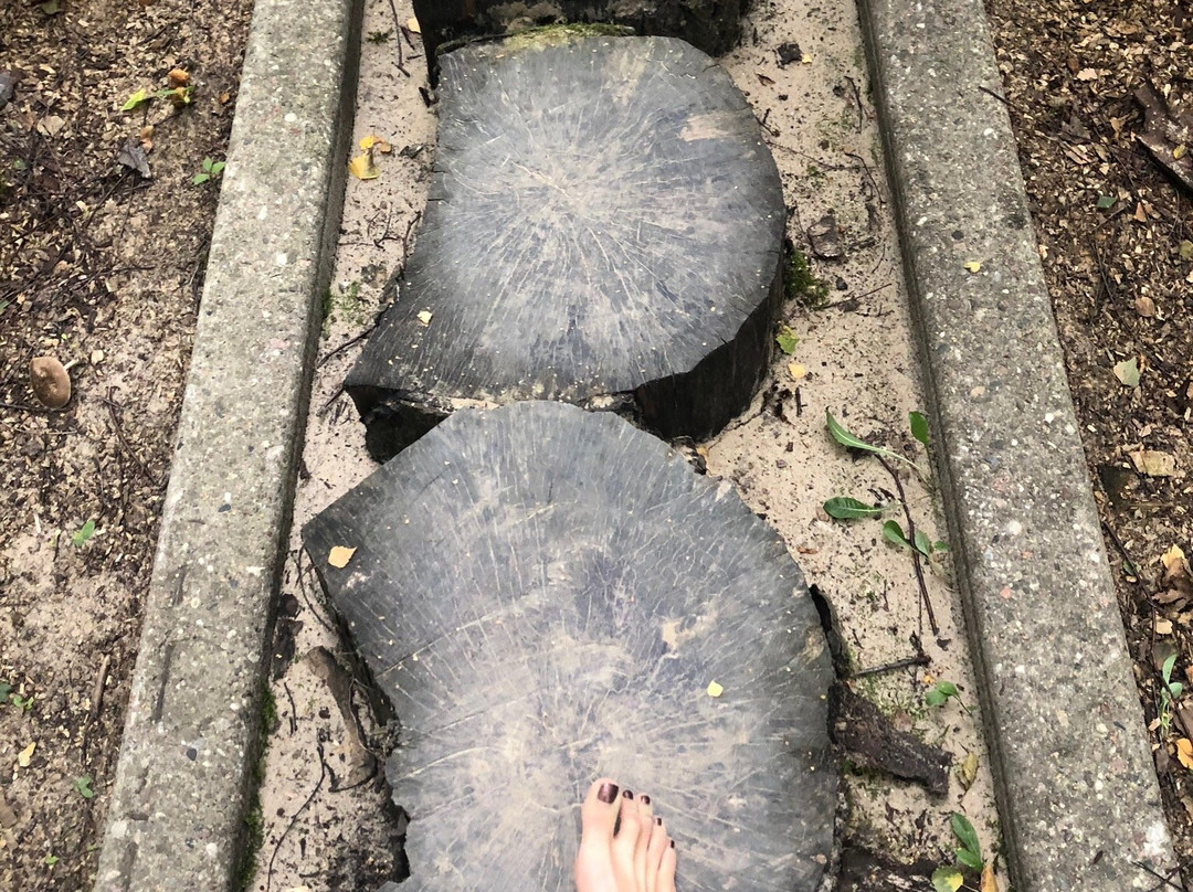 Eco Barefoot Park-Birzai必去景点
