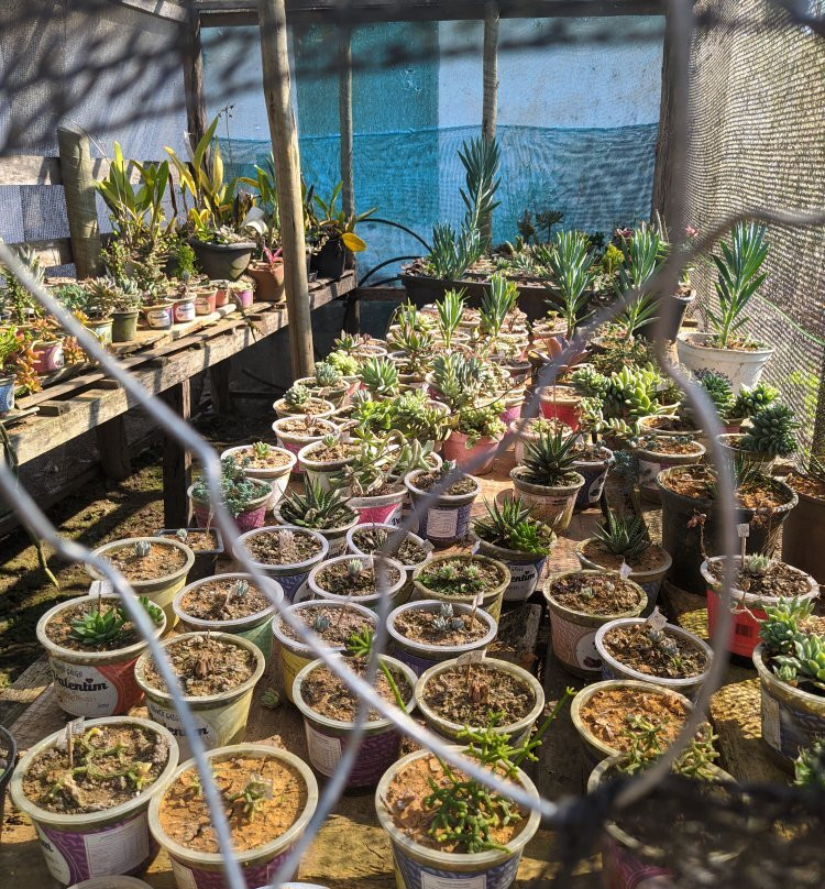Agroturismo Valentim景点图片