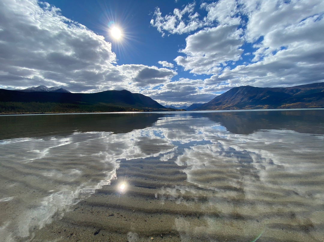 Whitehorse Who What Where Tours景点图片