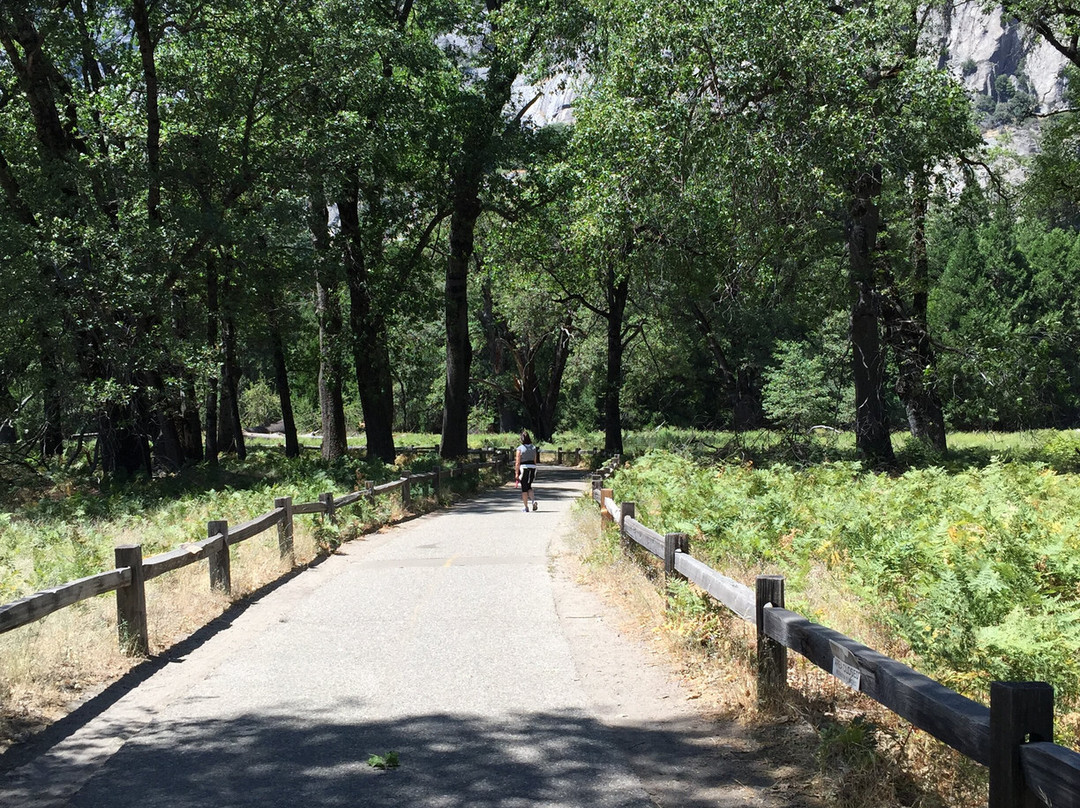 Cooks Meadow Loop-优胜美地国家公园必去景点