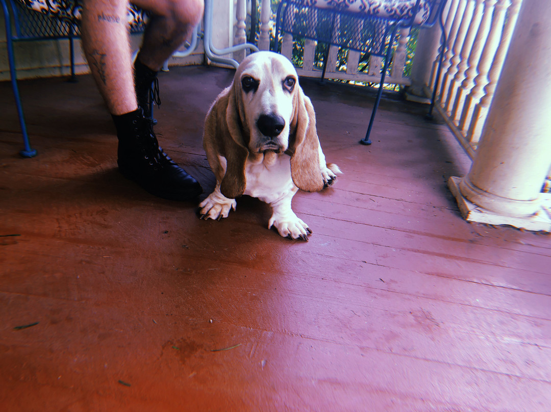 River Run Bed & Breakfast主图