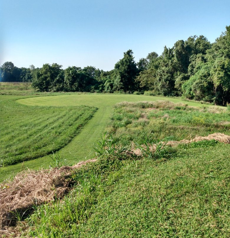 Towosahgy State Historic Site-East Prairie必去景点