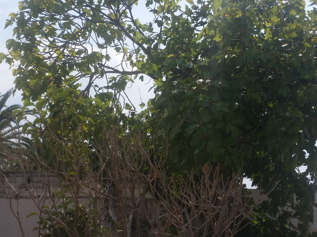 Yelkenkaya Hotel主图