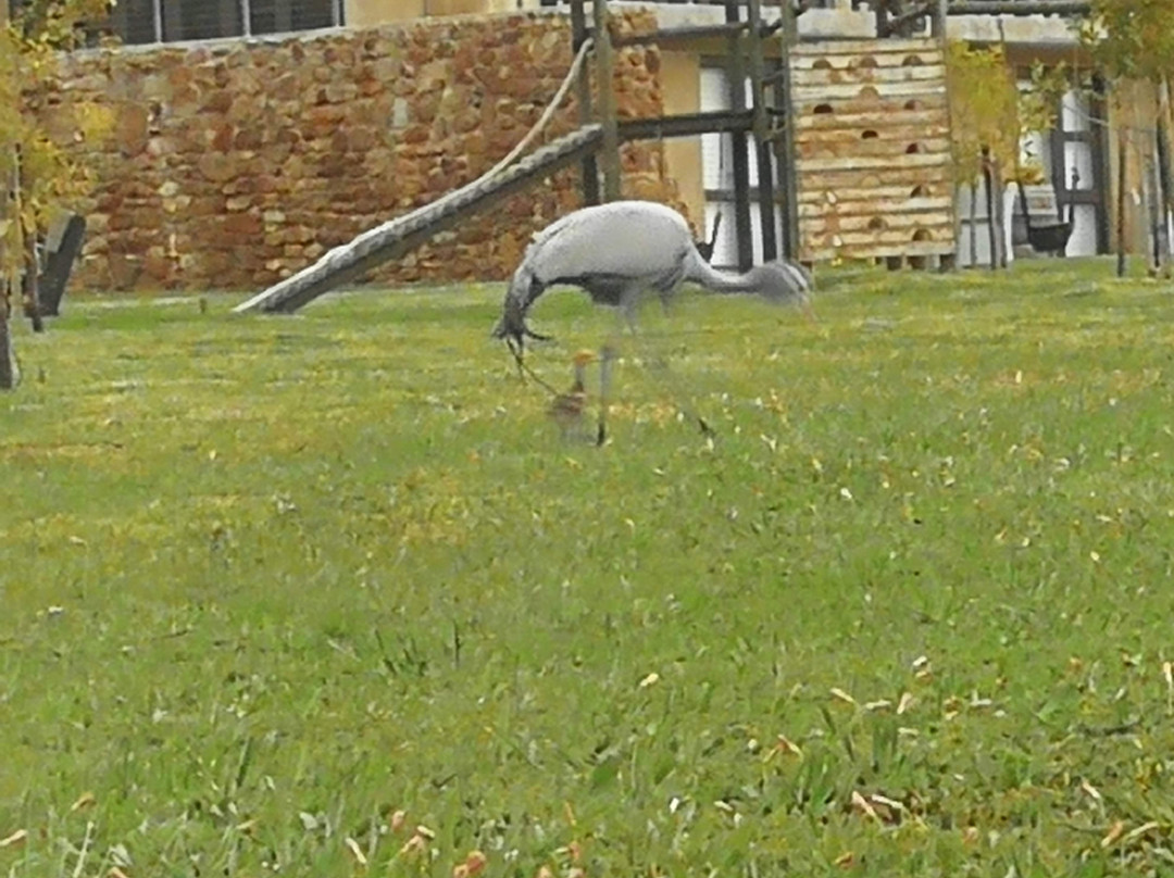 Lord's Wines-McGregor必去景点