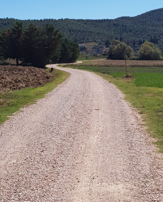 Pista Ciclabile del Trasimeno景点图片