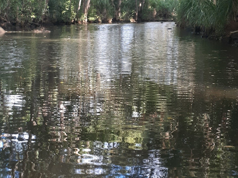 Surf N Sea-哈雷瓦必去景点