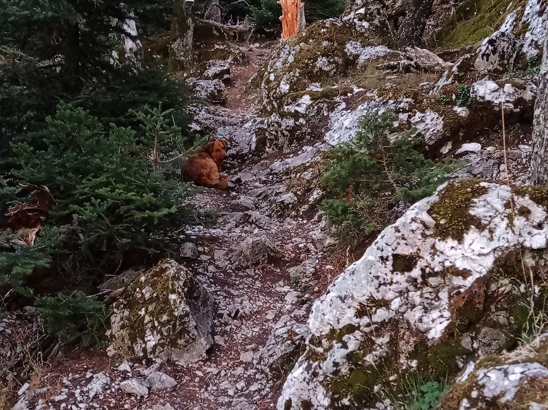 ADVENTURE CLUB HELLAS-雅典必去景点