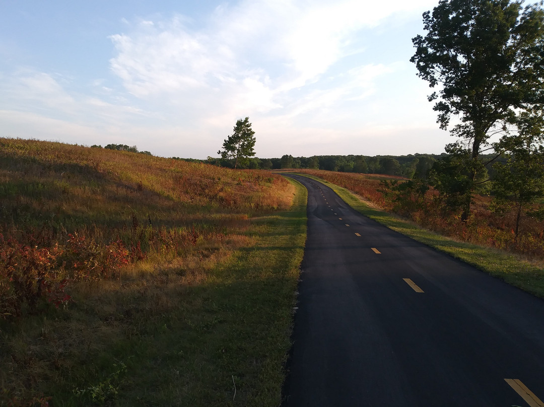 Elm Creek Singletrack Trail景点图片