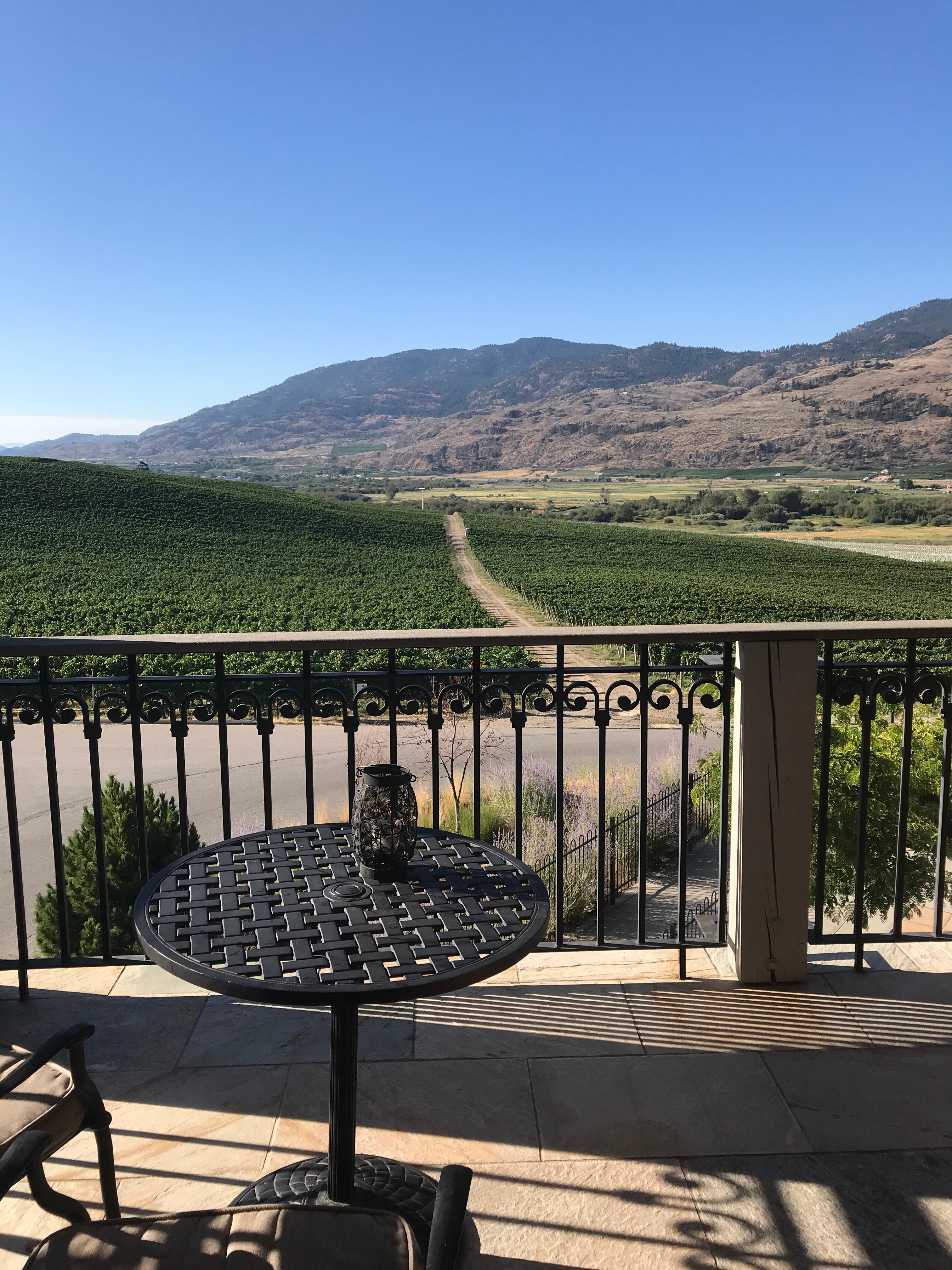 Burrowing Owl Estate Winery Guest House-酒店景观