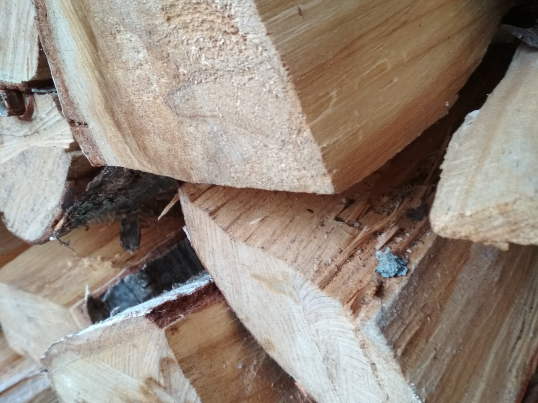 Chalet La Bachole 38主图