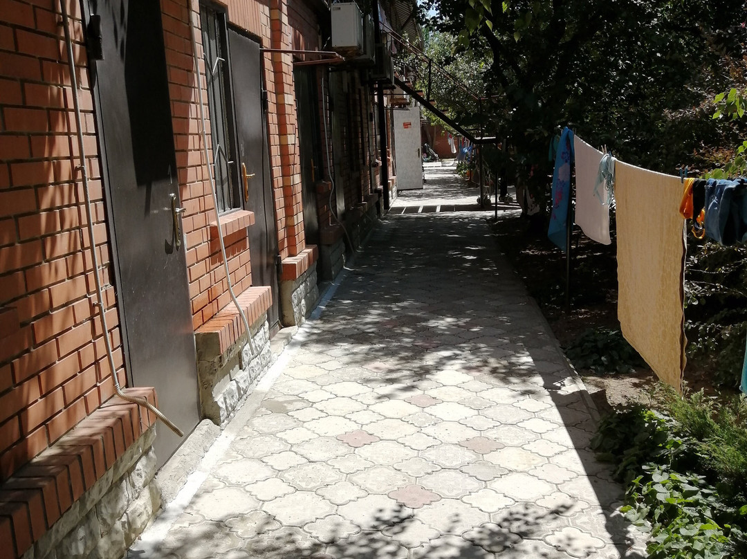Yaltas主图