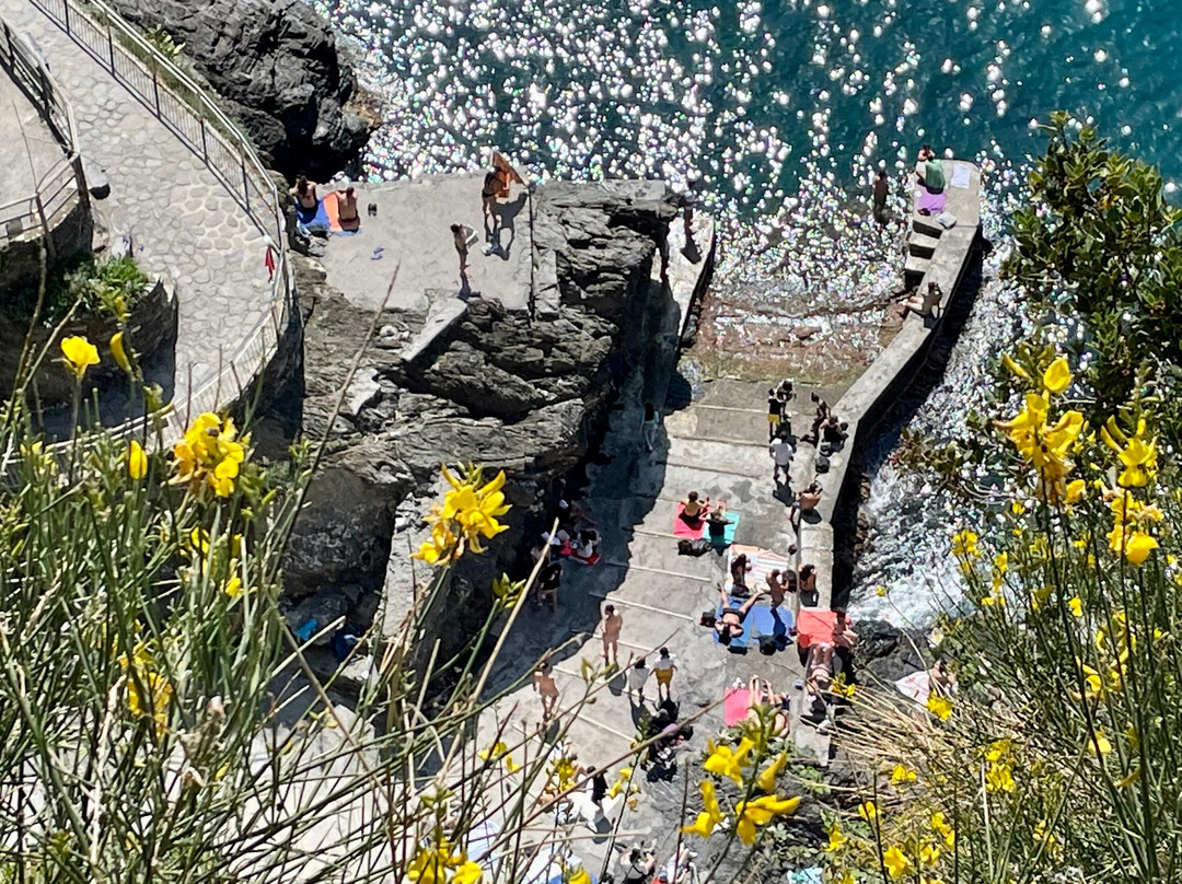 Spiaggia Di Manarola ( Palaedo )景点图片