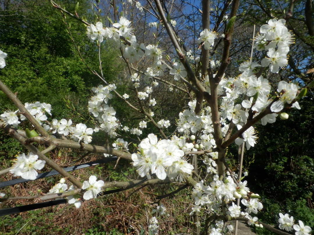 Deepdale Nature Reserve-Barnard Castle必去景点