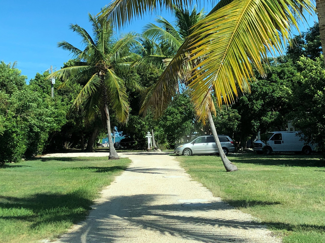 Best of Both Worlds主图