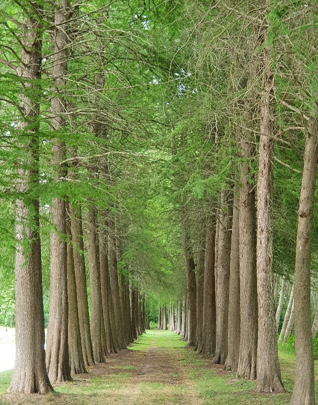 Parc De Jeurre景点图片