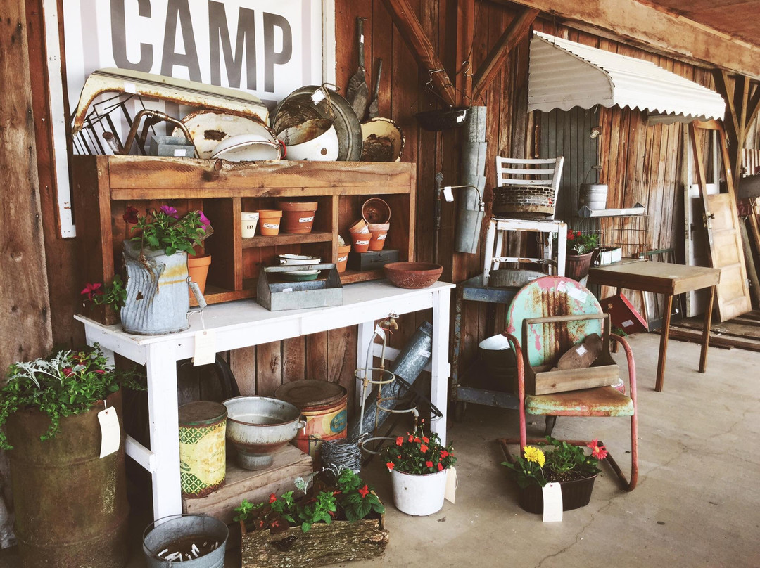 Camp Flea Antique Mall景点图片