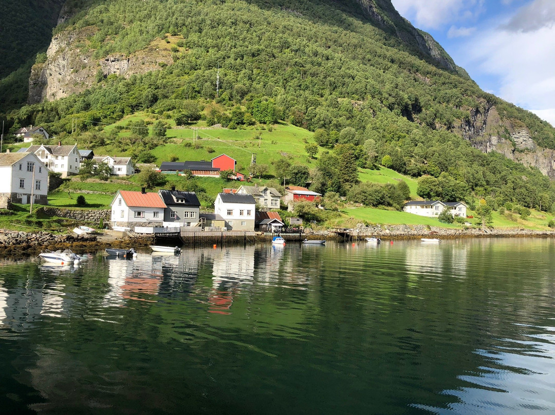 Naeroyfjord景点图片