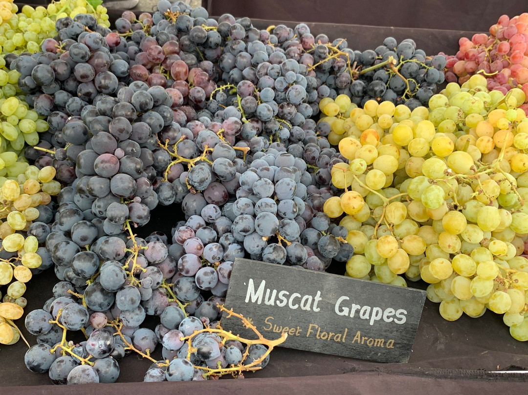 Camarillo Farmers Market-卡马里奥必去景点