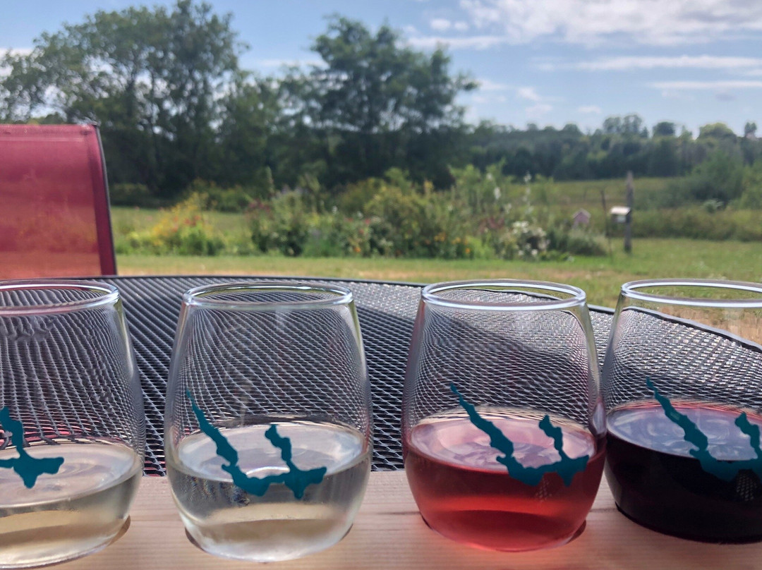 Walloon Lake Winery-皮托斯基必去景点