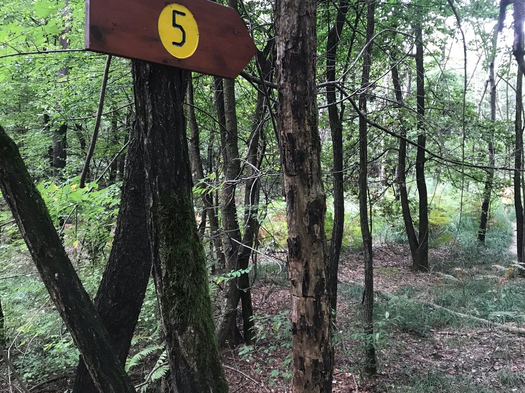 Oasi LIPU Cesano Maderno景点图片