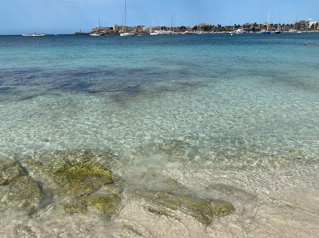 Playa Es Dolc景点图片