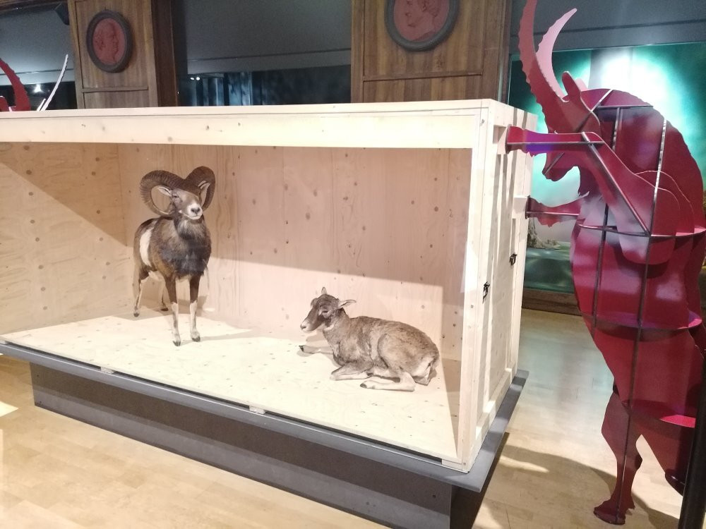 Muséum de Grenoble-格勒诺布尔必去景点