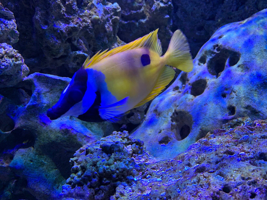 East Idaho Aquarium景点图片