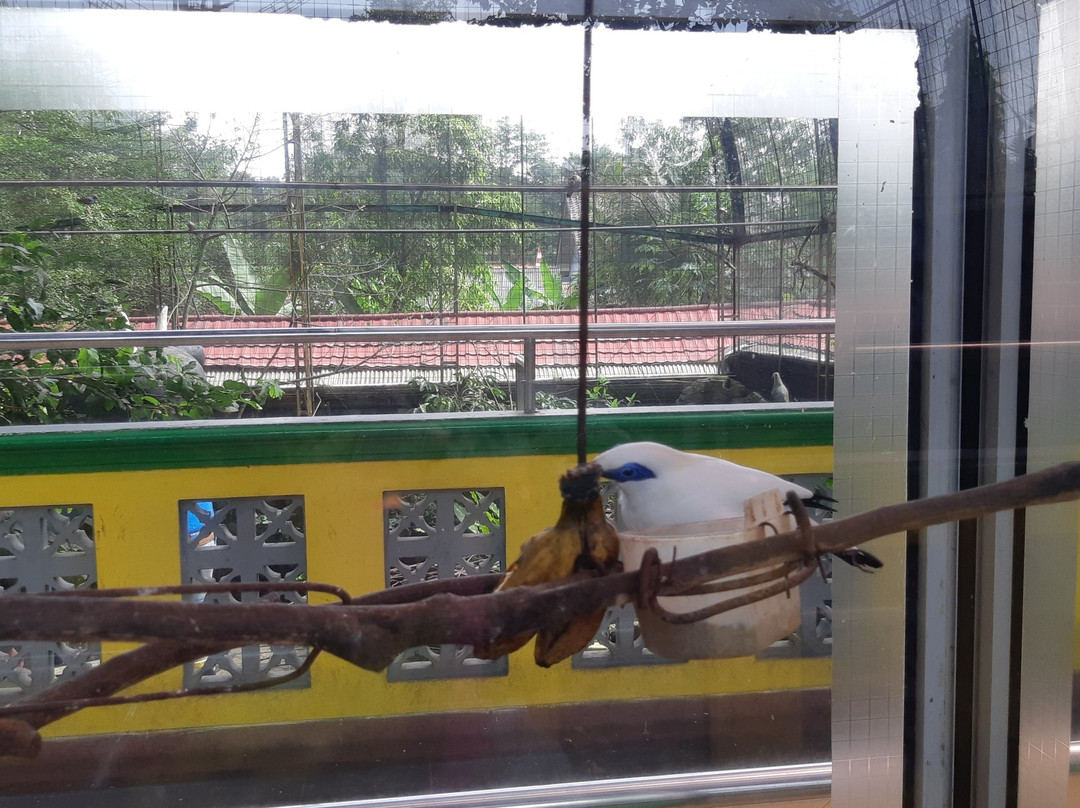 Taman Akuarium Besar Purbasari-普禾加多必去景点