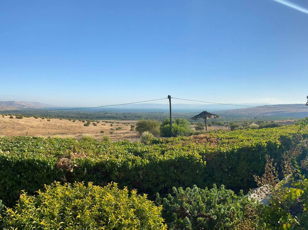 Cnaan Village - Boutique and Spa Villa主图