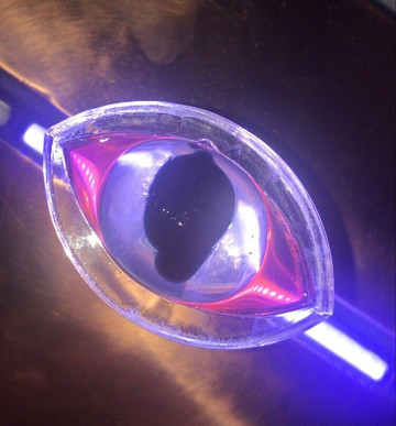 Viscosity-布里斯班必去景点