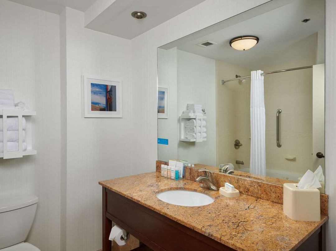 克莱姆森希尔顿恒庭酒店主图