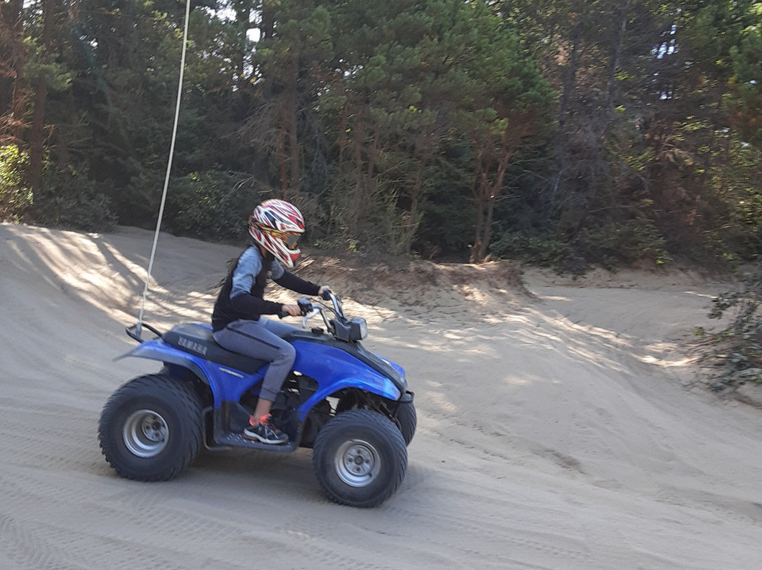 Steve's ATV-North Bend必去景点