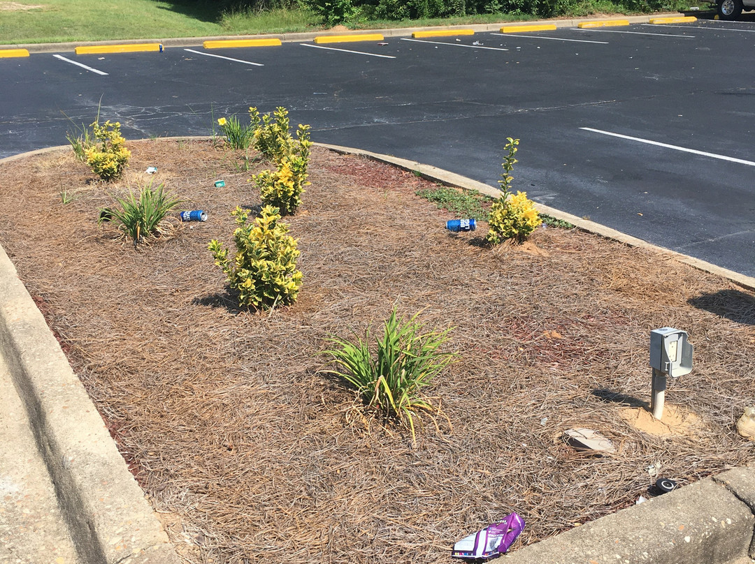 Comfort Suites主图