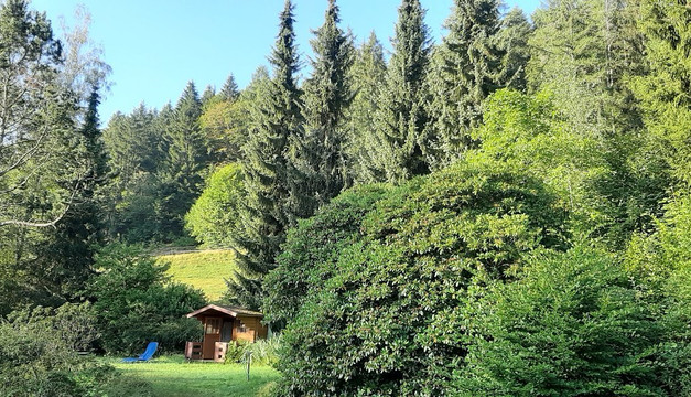 Holzschuh's Schwarzwaldhotel主图