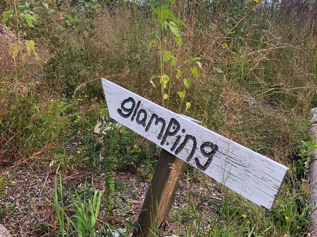 Breiva Gjestegaard og Glamping主图