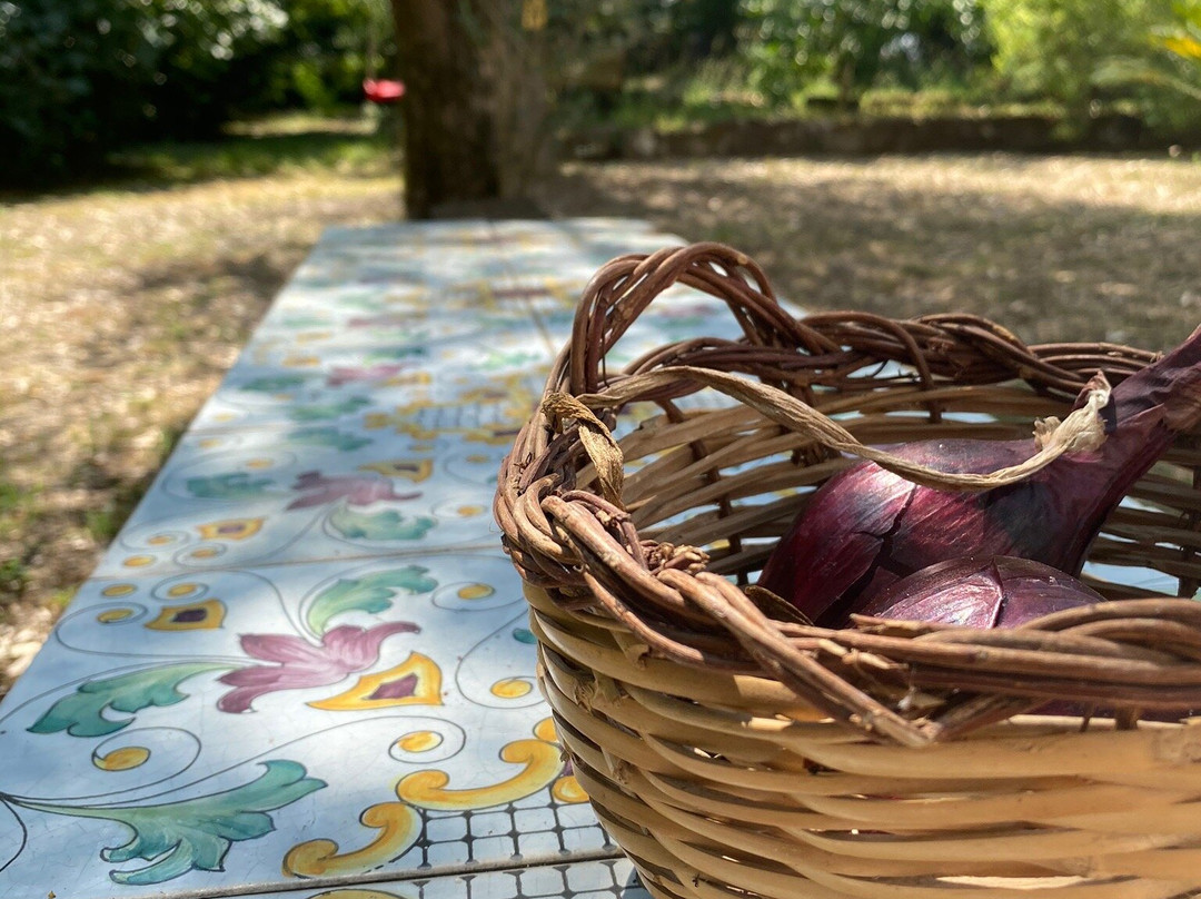 Ponteronico Resort主图