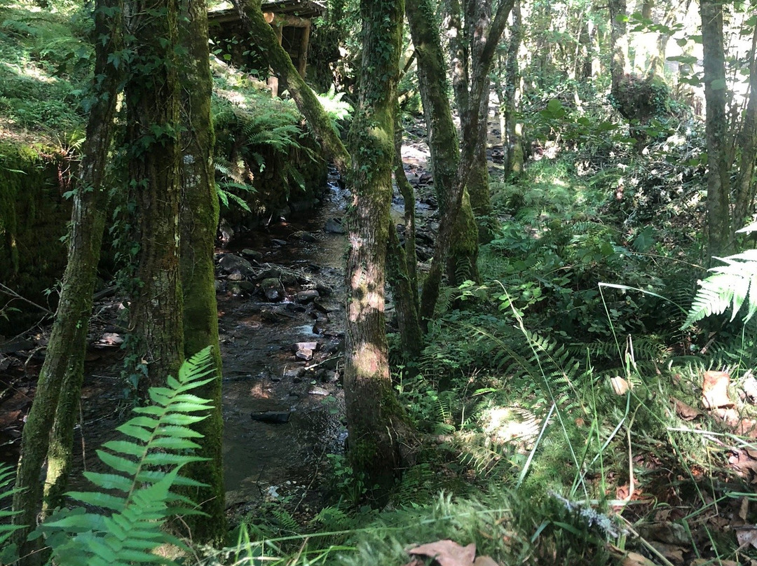 Ruta de La Cascada Seimeira景点图片