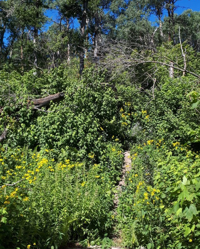 Gorge Creek Trail-Wasagaming必去景点