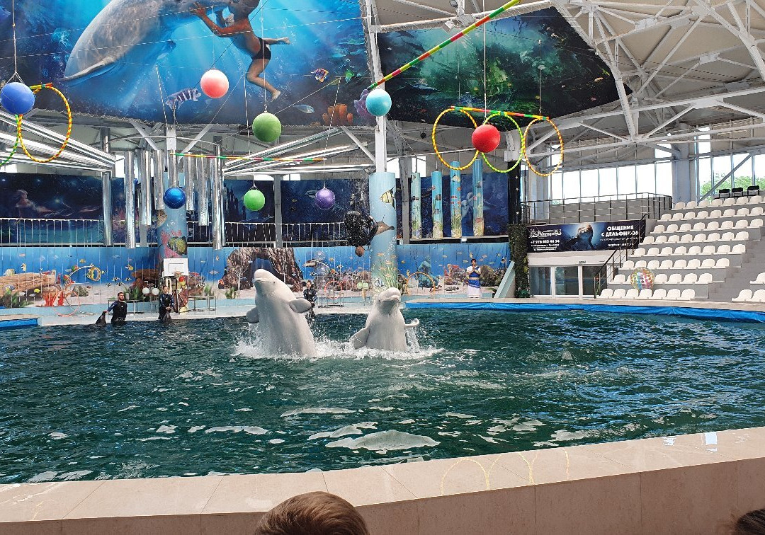 Yevpatoriya Dolphinarium景点图片