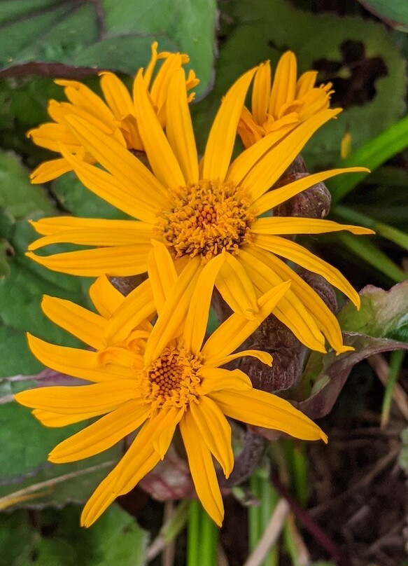 Burngreen Park-Kilsyth必去景点