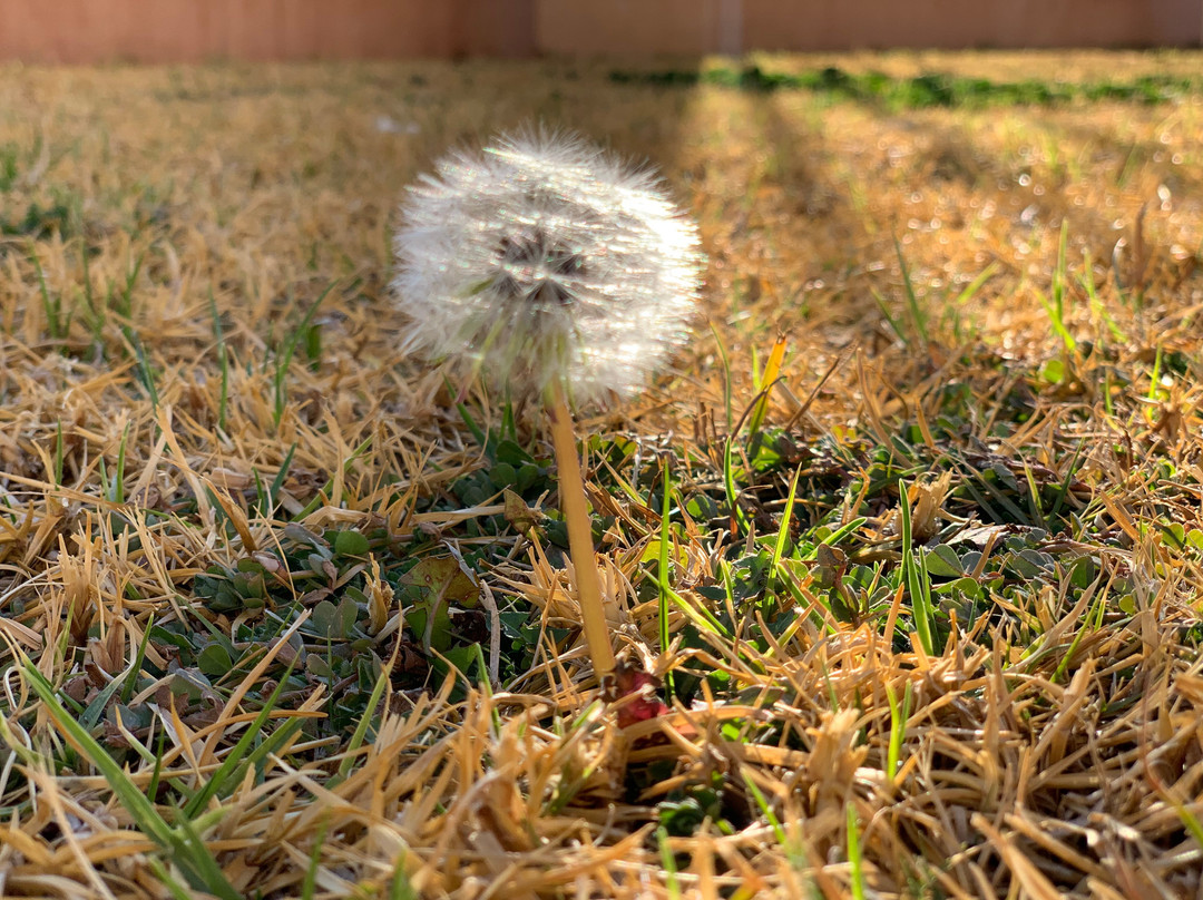 Kathu Inn by Country Hotels主图