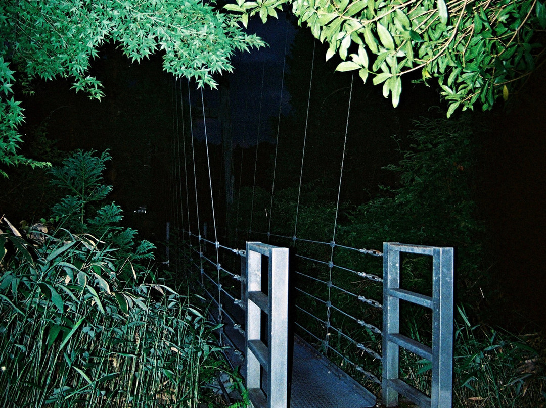 Horanomiya Bridge-甲贺市必去景点