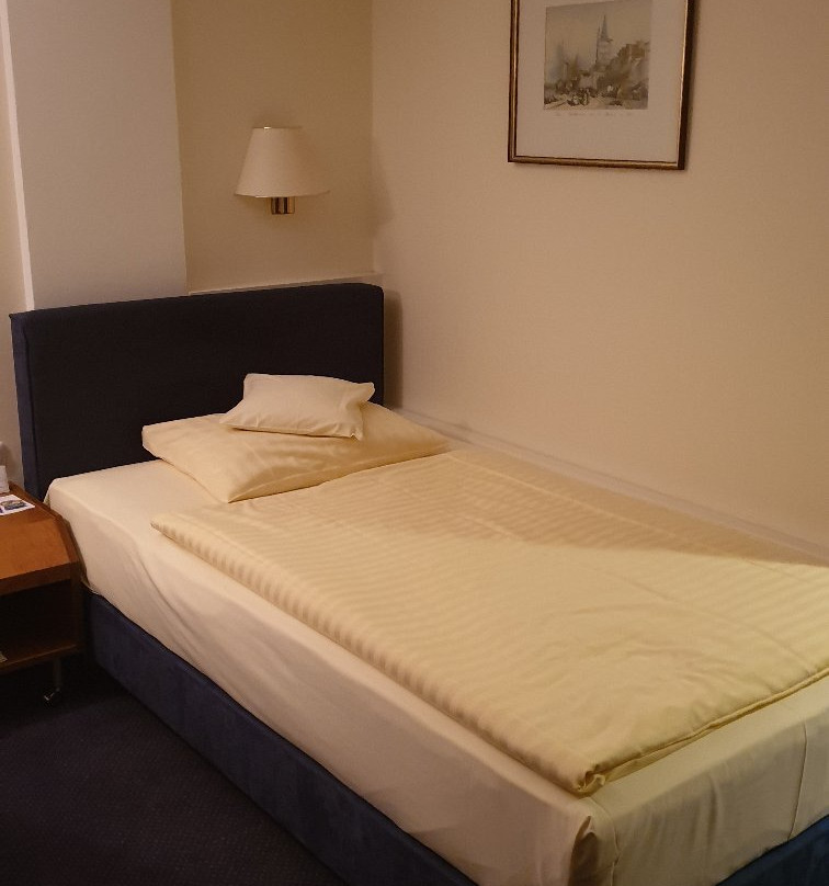 维克托亚酒店主图